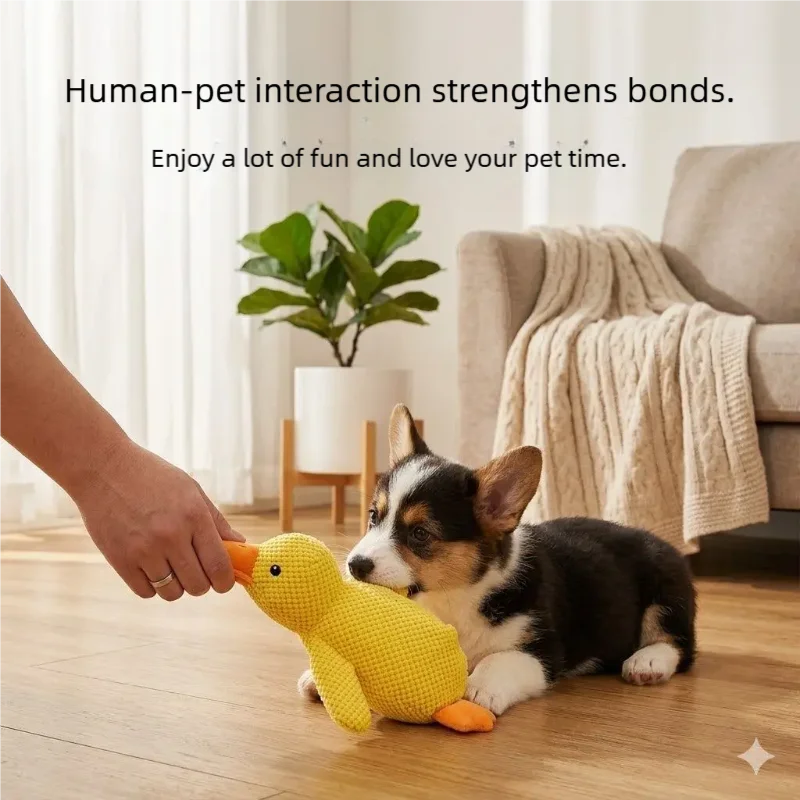 Quietschende Plüsch-Ente für Hunde – weiches Hundespielzeug