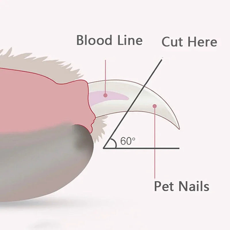 Professioneller Nagelknipser für Haustiere mit LED-Licht, Fellschere für Haustiere, für Hunde, Katzen, kleine Tiere, Pfotennageltrimmer, Heimtierbedarf