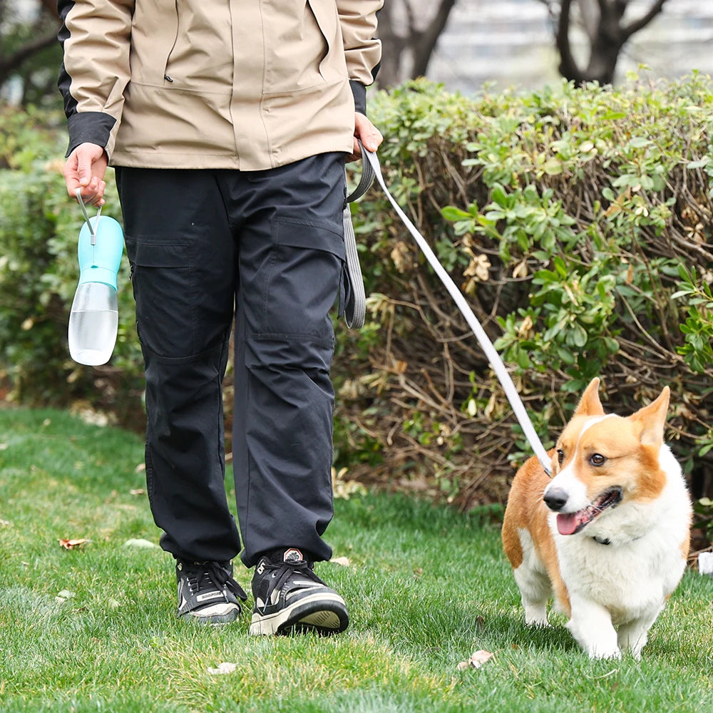 Tragbare Hunde-Trinkflasche mit integriertem Wassernapf – auslaufsicher für unterwegs
