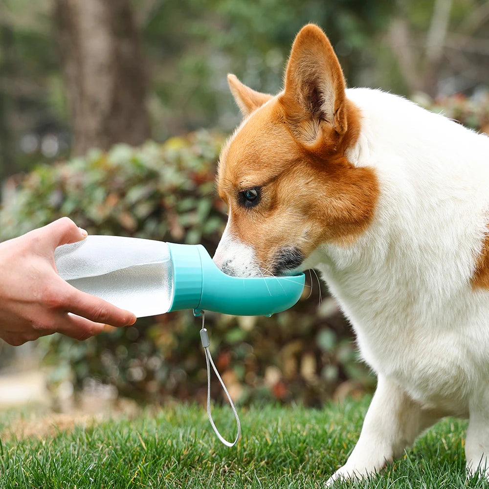 Tragbare Hunde-Trinkflasche mit integriertem Wassernapf – auslaufsicher für unterwegs